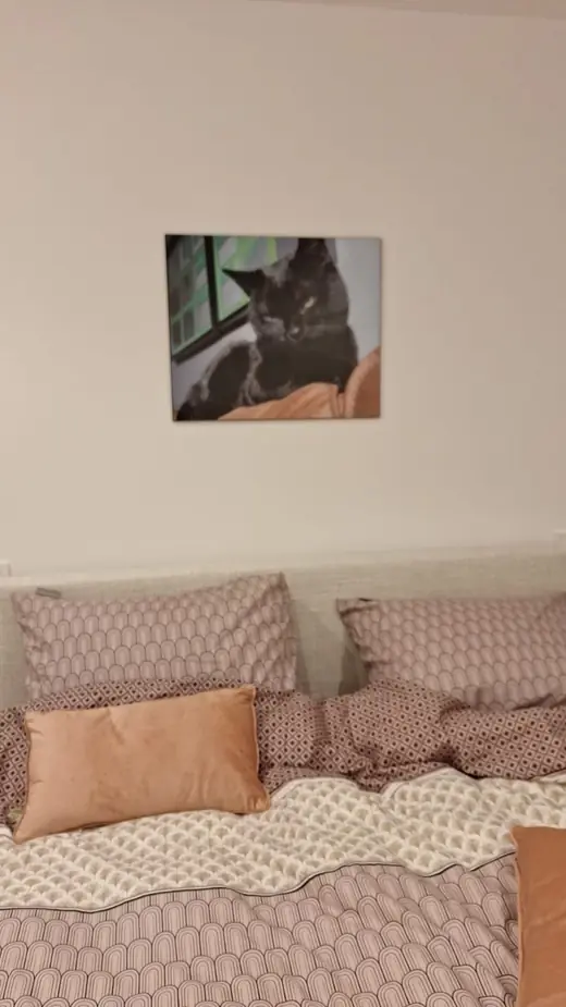 Slaapkamer 1 - Gastenkamer beneden, foto 8